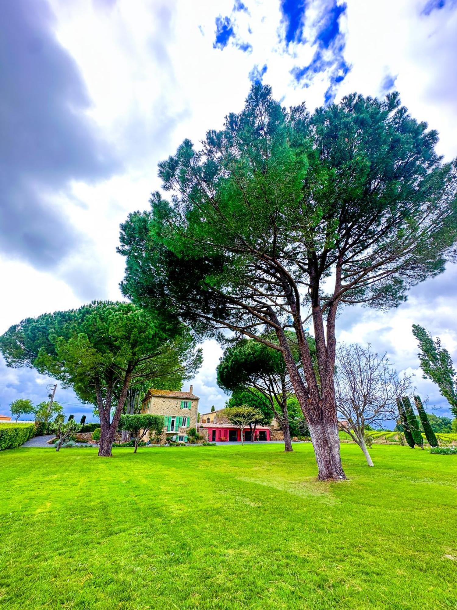 Domaine La Mouline Pézenas Eksteriør billede