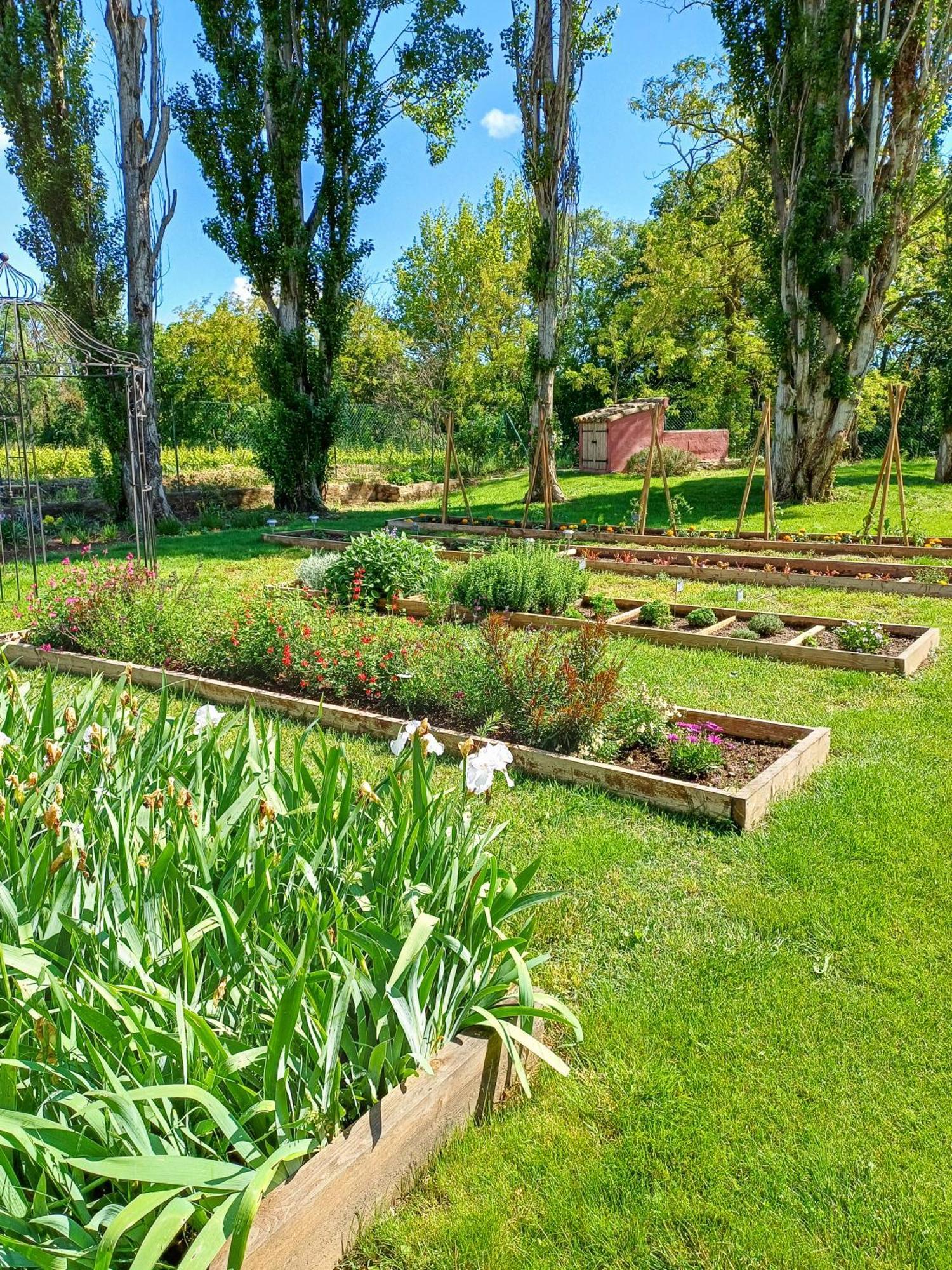 Domaine La Mouline Pézenas Eksteriør billede